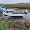 Extra picture for advert 148825