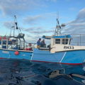 Extra picture for advert 148826