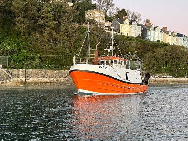 Large picture for advert 145828