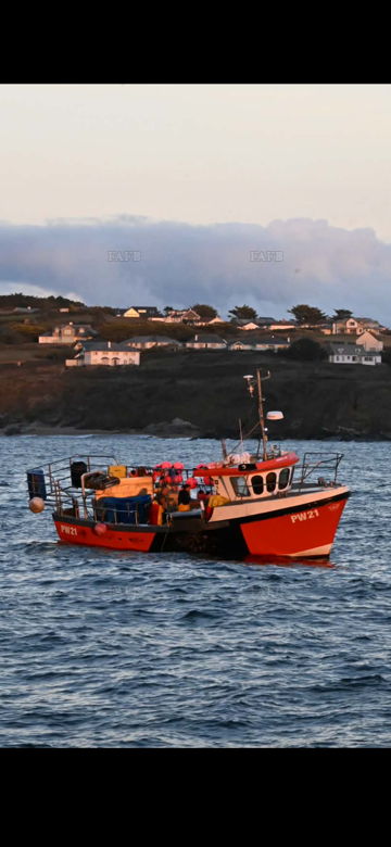 Main picture for advert 148829