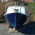 Extra picture for advert 146083
