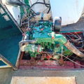 Extra picture for advert 146083