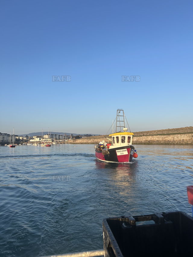 Large picture for advert 147830
