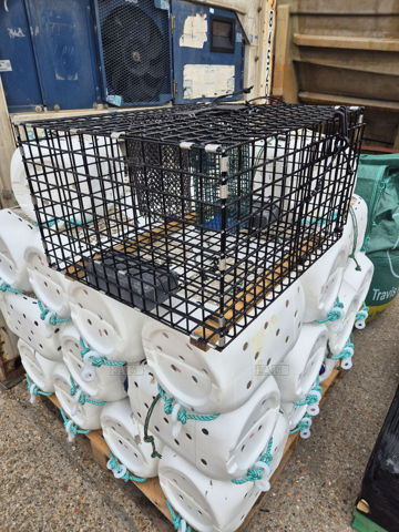 10 24" octopus traps