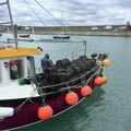 Extra picture for advert 147830