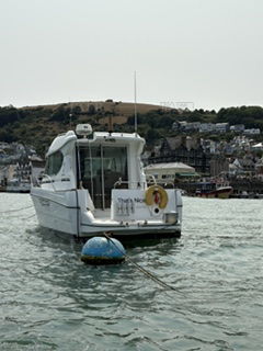 Large picture for advert 147831