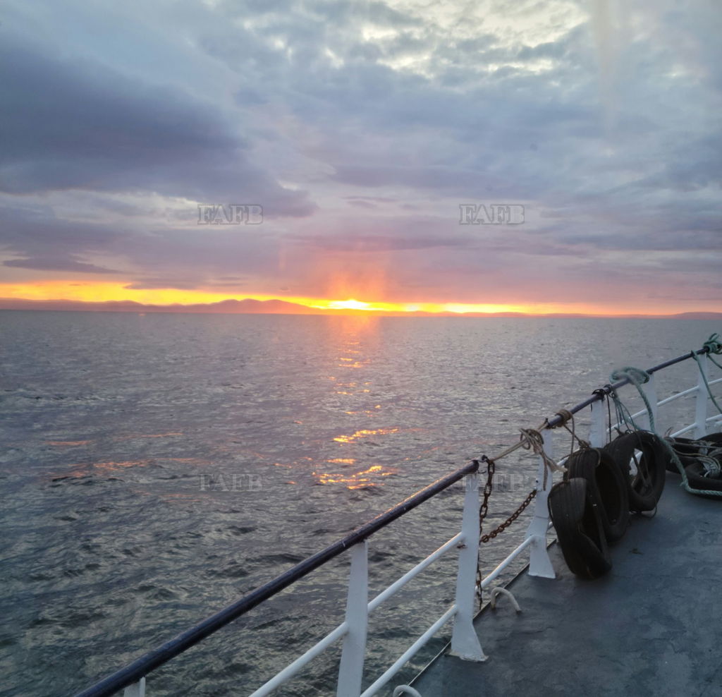 WATCHKEEPER / GUARD / SURVEY / TUGS / BARGE WORK / FISH FARMS