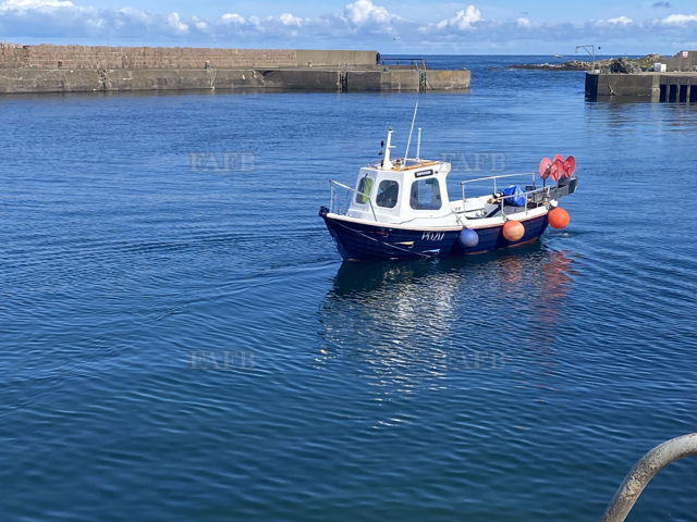 Large picture for advert 148832