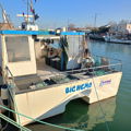 Extra picture for advert 133832