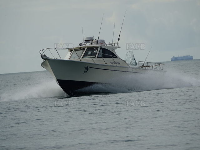 Large picture for advert 142833