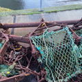 Extra picture for advert 145833