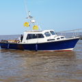 Extra picture for advert 146833