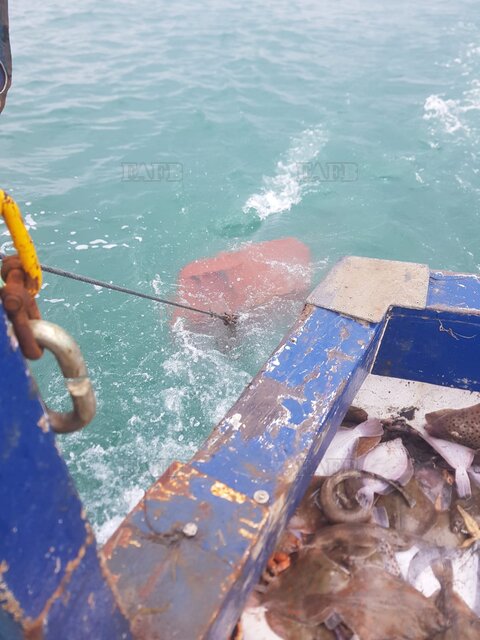 Large picture for advert 93835