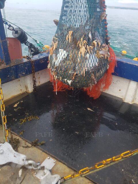 Large picture for advert 93835