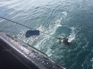 Large picture for advert 93835