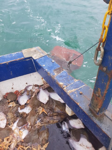 Large picture for advert 93835