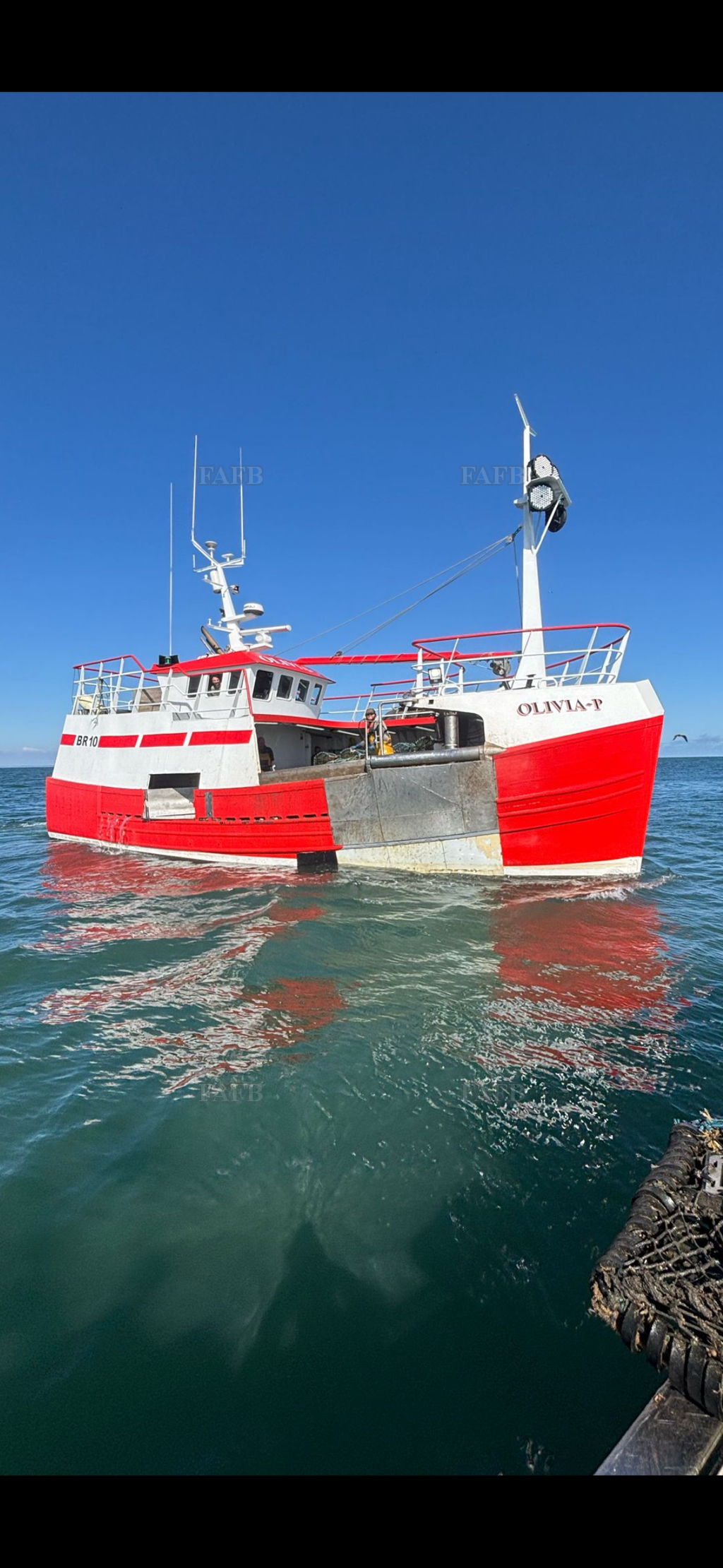 Whelker/crabber