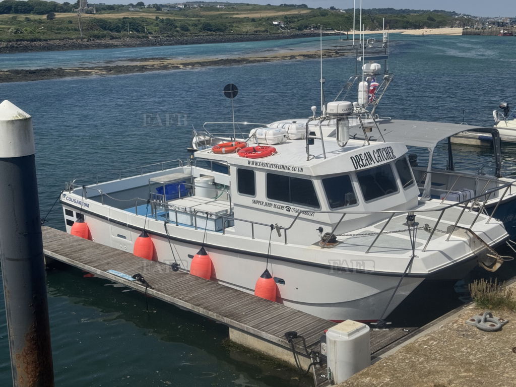 Cougar 10meter