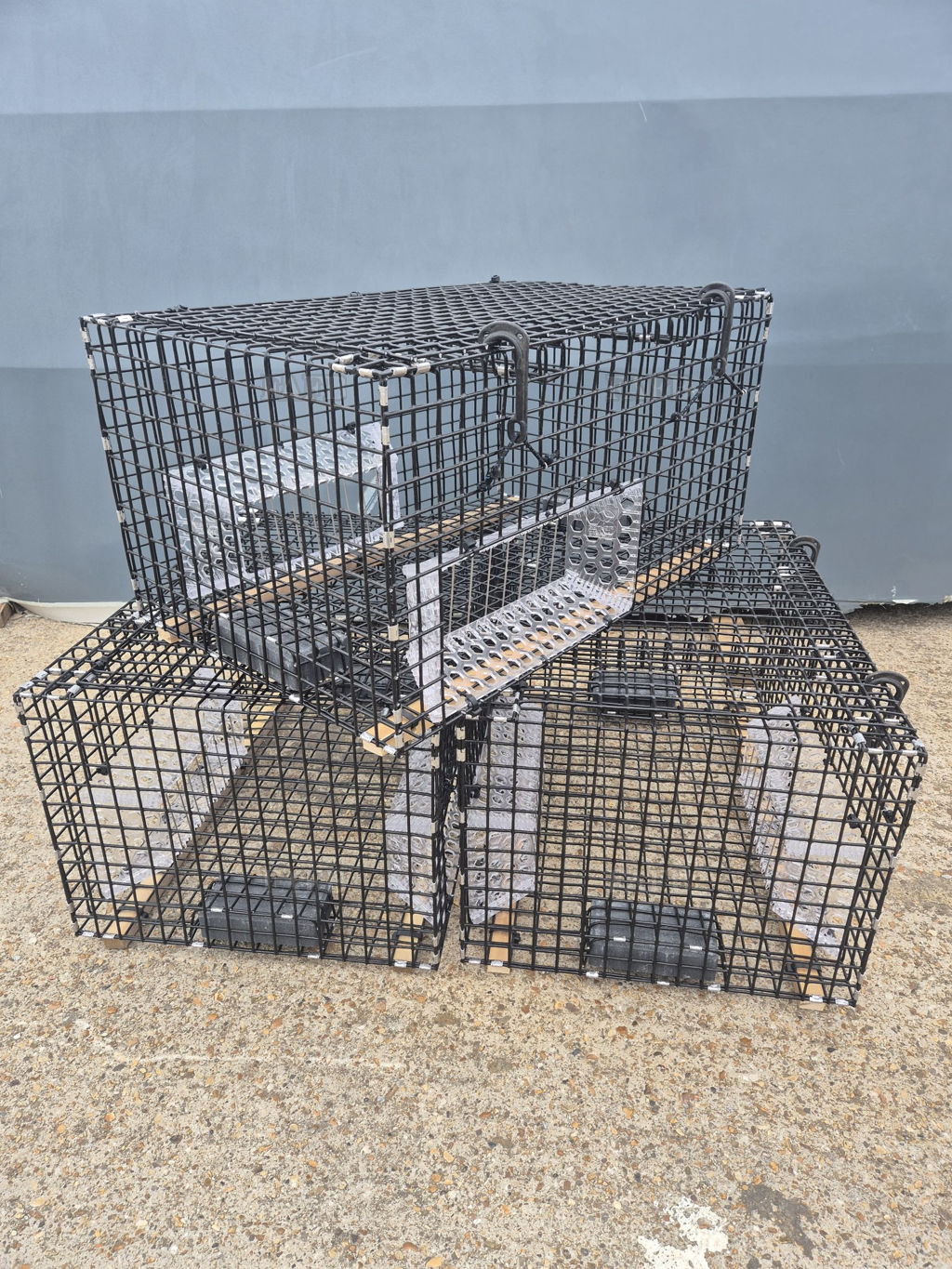 Wire mesh traps