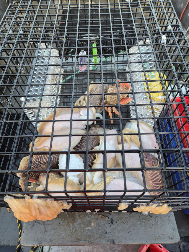 Large picture for advert 143842