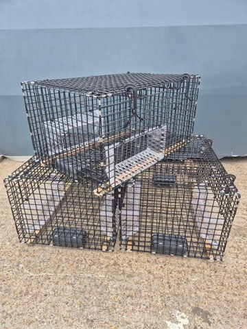 Wire mesh traps