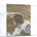 Thumbnail for picture 2