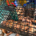 Thumbnail for picture 8