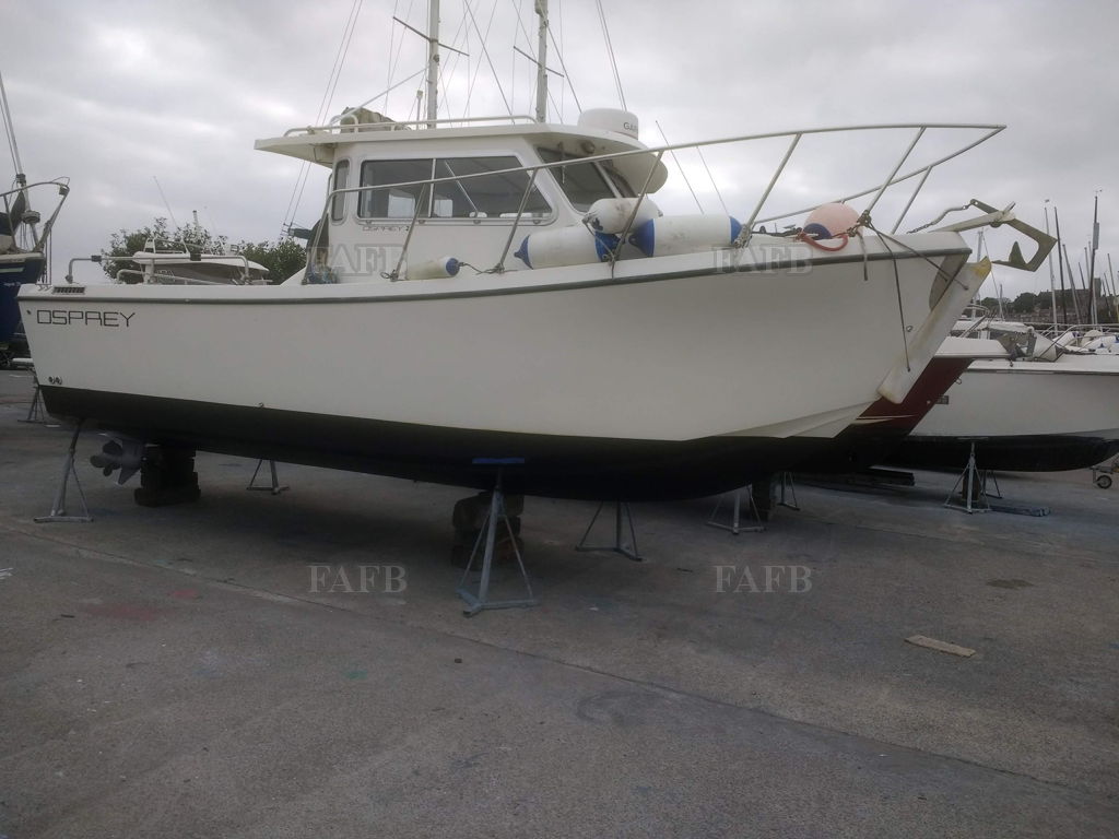 Osprey 24 Expedition