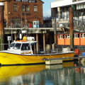 Thumbnail for picture 3