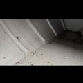 Thumbnail for picture 4