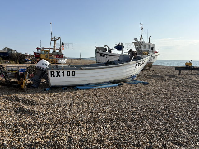 Large picture for advert 147847