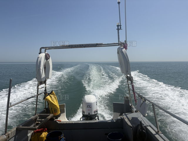 Large picture for advert 147847