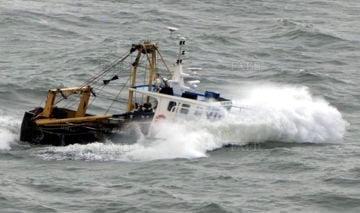 Beam trawl, Scolloping, Trawl