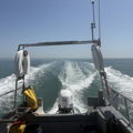Extra picture for advert 147847