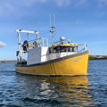 Extra picture for advert 148848