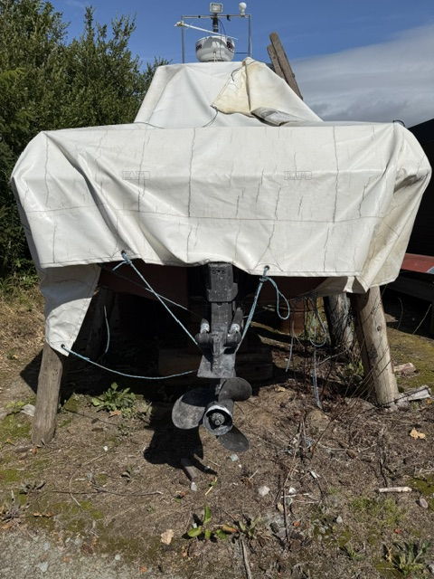 Large picture for advert 147849