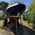 Extra picture for advert 147849