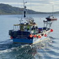 Extra picture for advert 146850