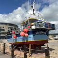 Extra picture for advert 146850
