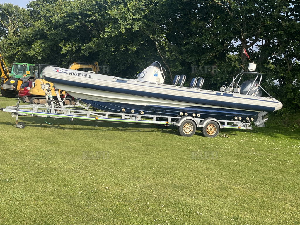 Ribeye 785s