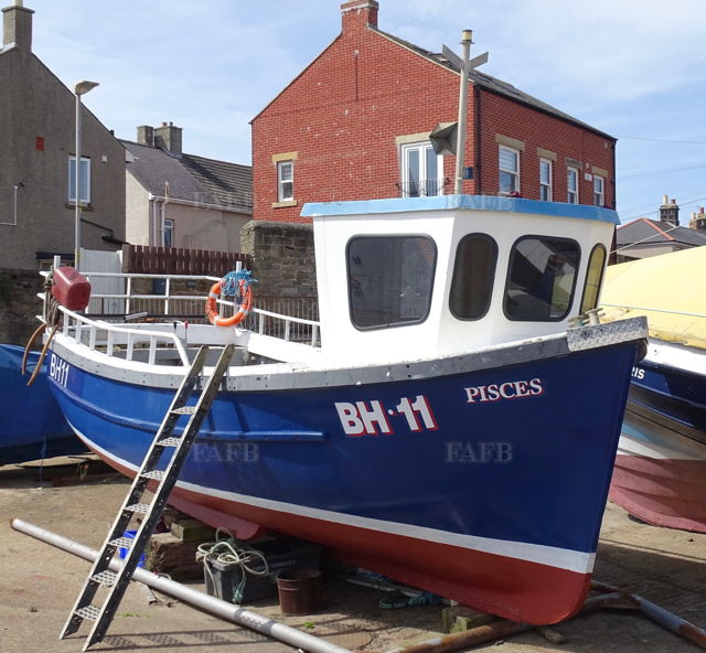 Large picture for advert 141853