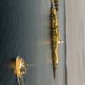 Thumbnail for picture 2