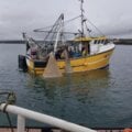 38 trawler, price reduced to sell - picture 13