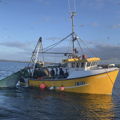 Extra picture for advert 123853