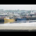 Thumbnail for picture 10