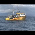 38 trawler, price reduced to sell - picture 2