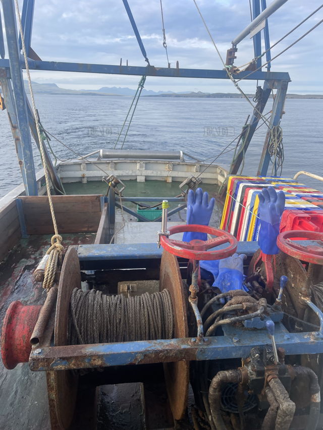 Large picture for advert 143856