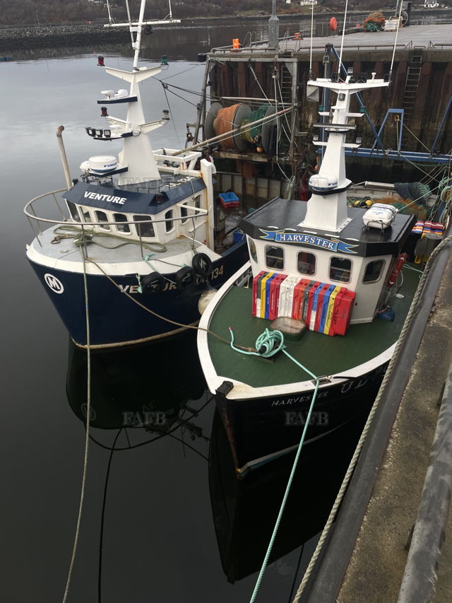 Large picture for advert 143856