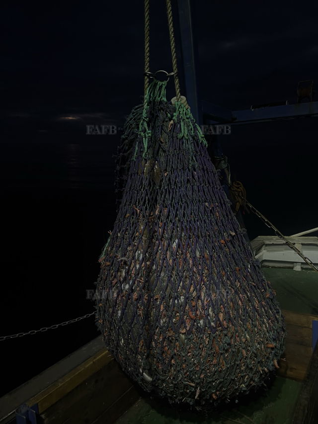 Large picture for advert 143856