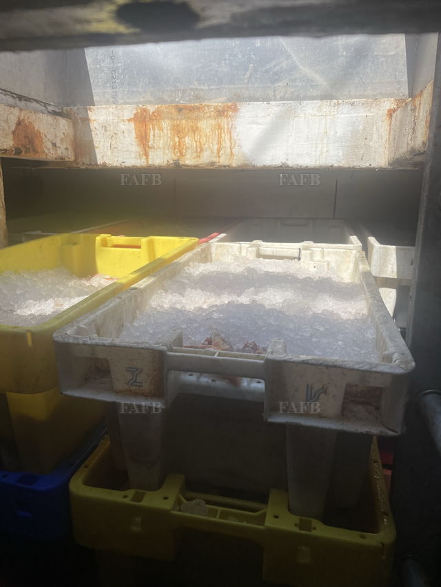 Large picture for advert 143856